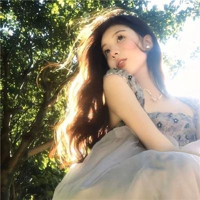边塞丽春花海报